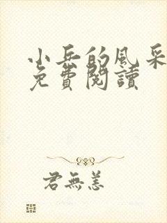 小兵的风采小说免费阅读