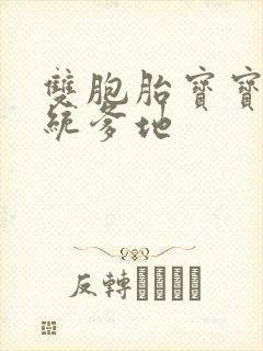 双胞胎宝宝的总统爹地