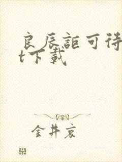 良辰讵可待txt下载