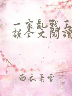 一家乱战王芳小说全文阅读