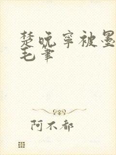 楚晚宁被墨燃塞毛笔