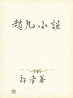 赵凡小说