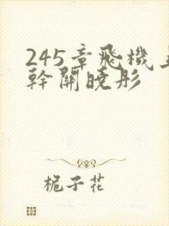 245章飞机上干关晓彤