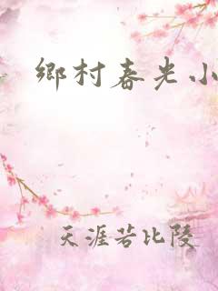 乡村春光小说