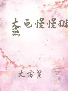 大龟慢慢挺进张燕