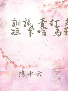 训诫 责打 规矩 掌嘴 马鞭