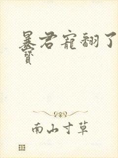 暴君宠翻了小娇宝