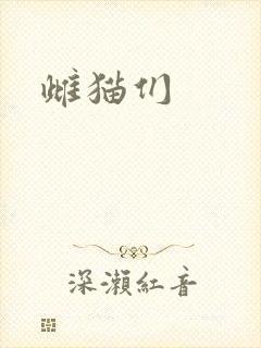 雌猫们