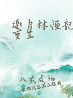邀月林恒龙凤胎重生