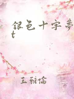银色十字梦txt
