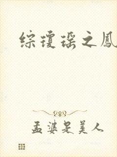 综琼瑶之凤鸾