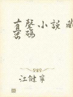 有声小说 藏地密码