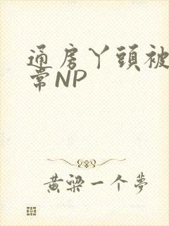 通房丫头被肉日常NP