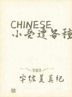 CHINESE小受遭各种打桩