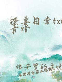 撩妻日常txt青灯