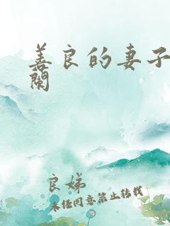 善良的妻子王晓兰