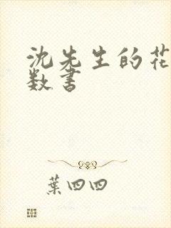 沈先生的花式调数书