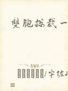 双胞总裁一个妻