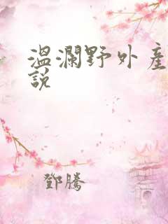 温澜野外产子小说