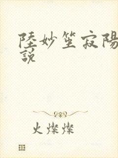 陆妙笙寂阳朔小说
