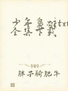少年枭雄txt全集下载