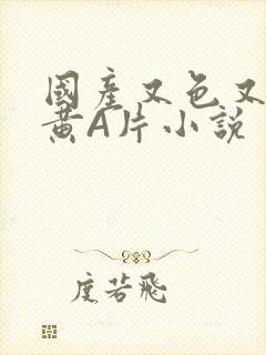 国产又色又爽又黄A片小说