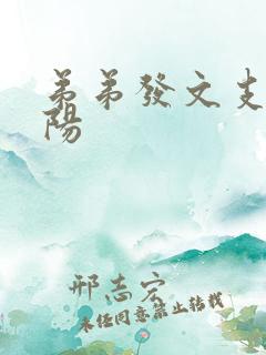 弟弟发文支持李阳