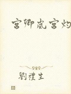 宫卿岚宫灼小说