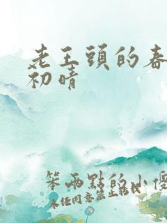 老王头的春天林初晴
