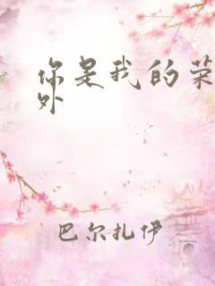 你是我的荣耀番外