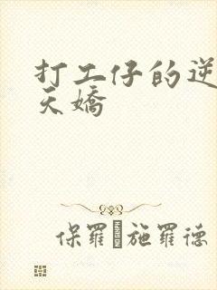 打工仔的逆袭楚天娇