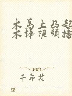 木马上凸起电动木棒视频播放