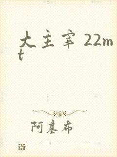 大主宰 22mt