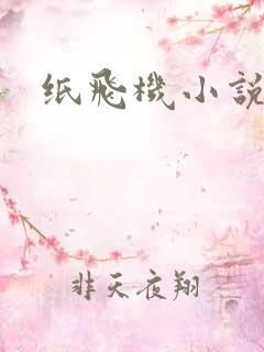 纸飞机小说