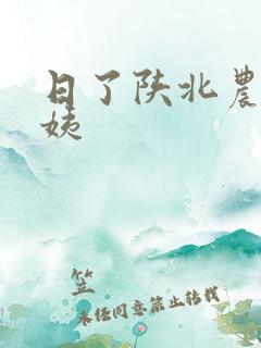 日了陕北农村婆姨