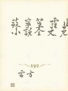 苏宁笙 霍止行小说全文免费阅读