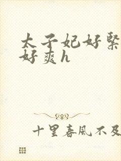 太子妃好紧皇上好爽h