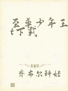 至尊少年王txt下载