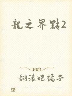 龙之界点2
