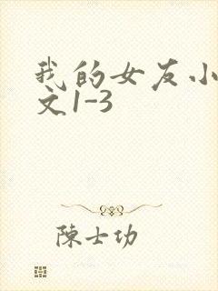 我的女友小洁全文1-3