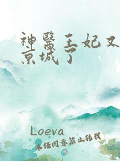 神医王妃又轰动京城了