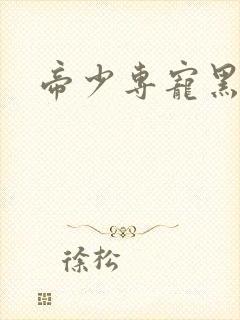 帝少专宠黑道妻