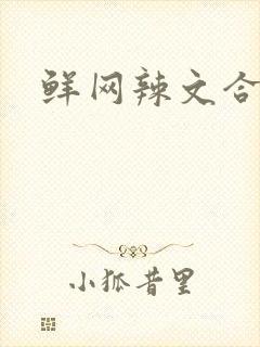 鲜网辣文合集
