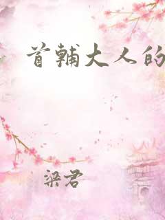 首辅大人的套路