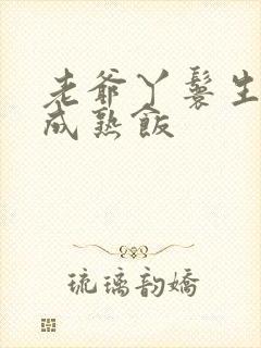 老爷丫鬟生米煮成熟饭