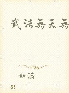 武法无天无弹窗