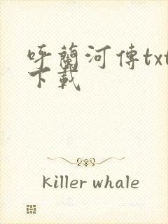 呼兰河传txt下载