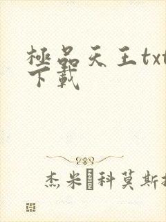 极品天王txt下载