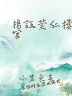 杨钰莹红楼醉高官