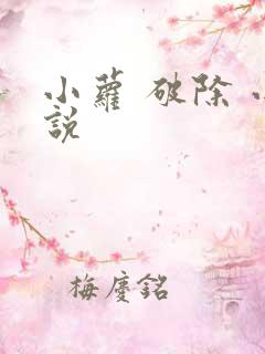 小萝 破除 小说